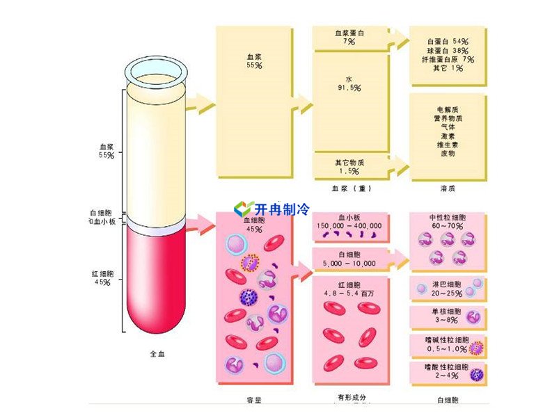 -30℃～-80℃血漿蛋白低溫冷凍庫規(guī)范，冷庫安裝價格