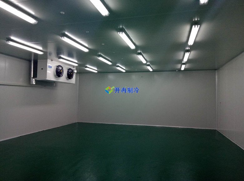 醫療冷庫的安裝標準，2-8℃生物制品冷庫安裝制冷設備造價 冷庫內景圖片